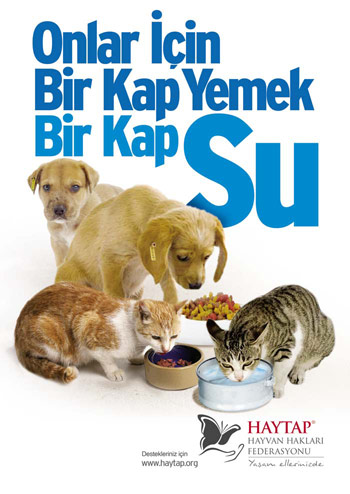 2011_birkap_yemeksu_A4_son_02