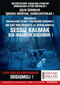 5199 Defa Hayır Afişi 2