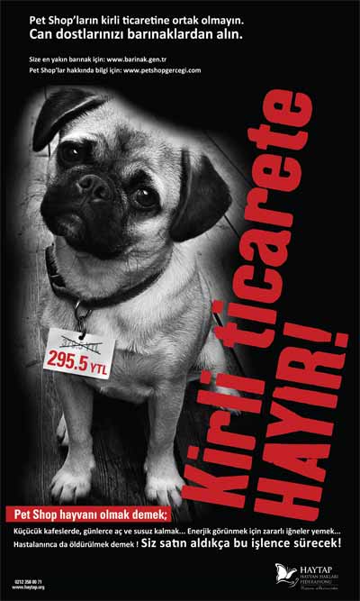 af_petshopkirliticaret_afisyeni