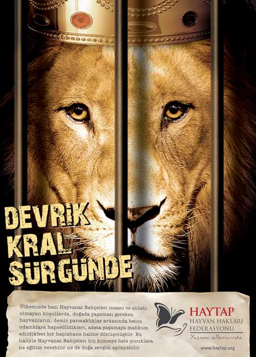 aslan_devrik_kral