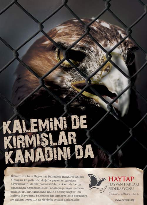 kartal_kalemini_kirmislar