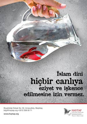 merhamet_balikA4