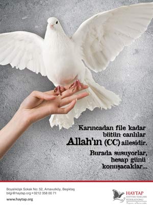 merhamet_kus_A4