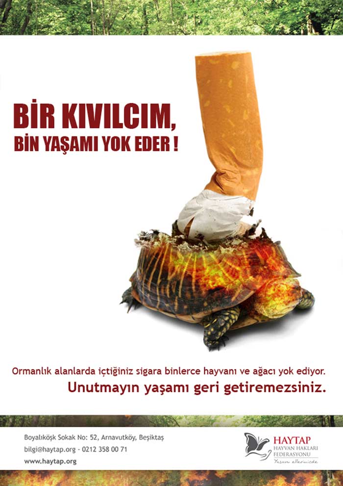 orman_yangini1