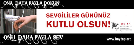 sevgililer_gunu_2011_2