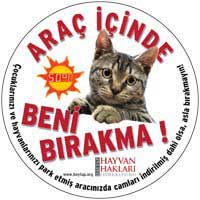 Beni Araçta Bırakma Sticker 2