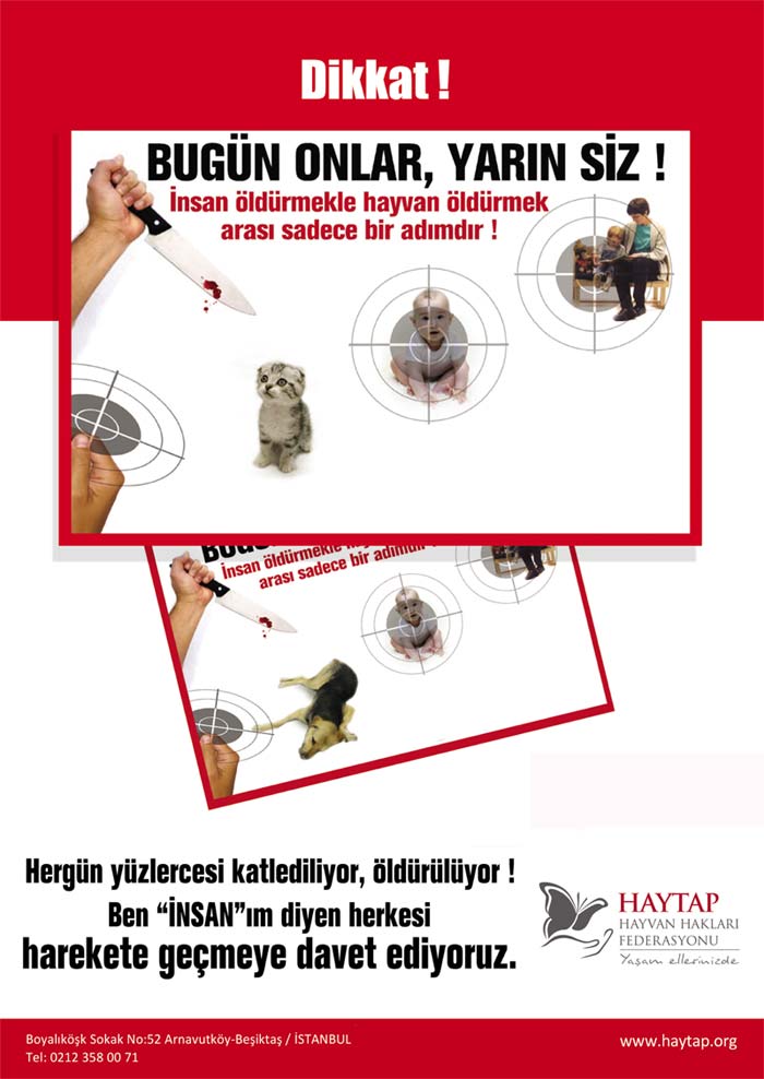 af_bugun_onlar_yarinsiz_kedili
