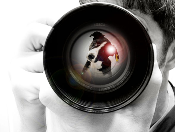 photographer_1