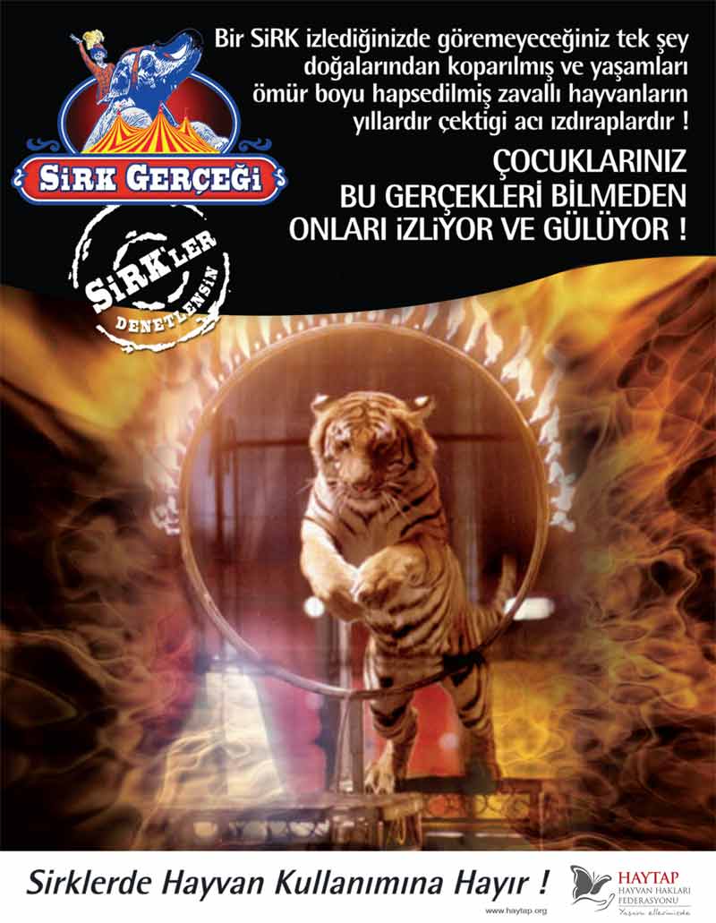 sirk_gercegi_02_afis
