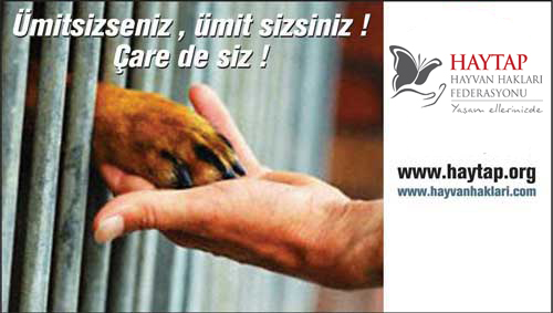 umitsizseniz_2011