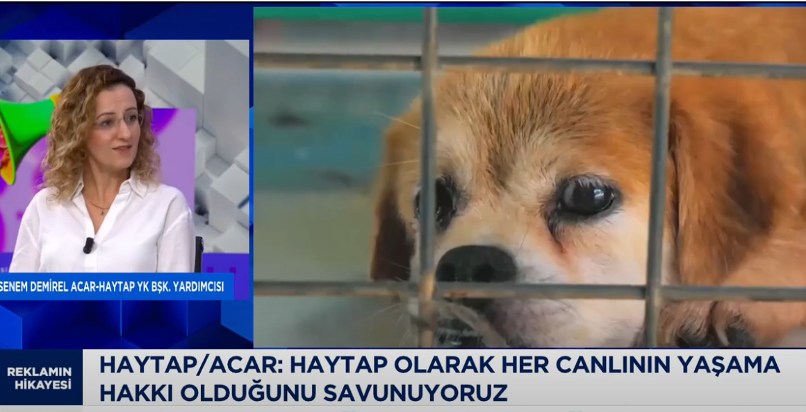 ’’Reklamın Hikayesi’’ ( CNBC-E canlı yayını 21.01.2025)