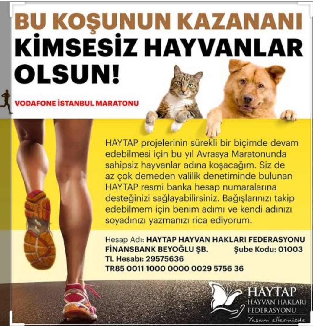 Bu Koşunun Kazananı Sokak Hayvanları Olsun!