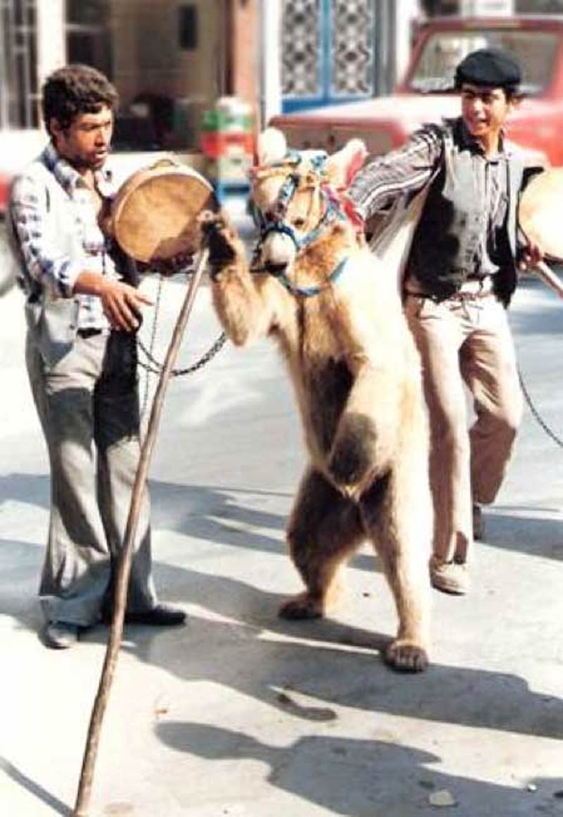 Kocaoğlan’ı Kurtarmak