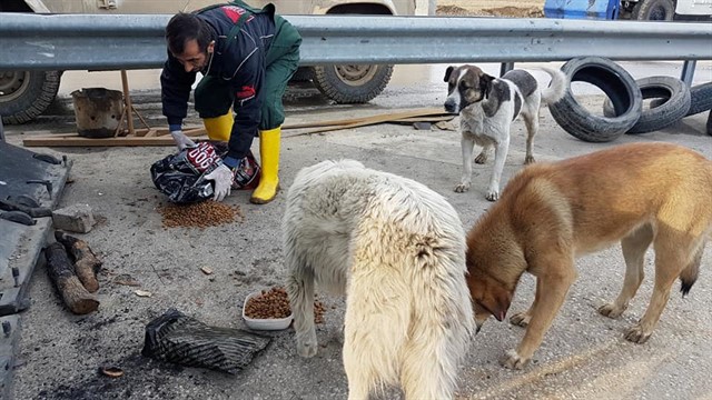 Haytap & Getir İşbirliği ile 1,5 Ton Mama Yüksekova’da