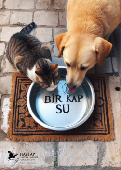 Bir kap su