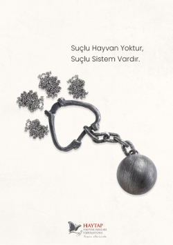 Suçlu hayvan yoktur